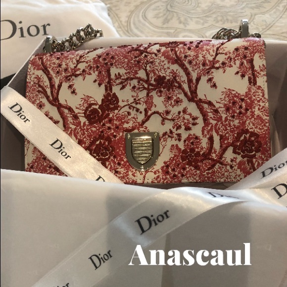 Dior Handbags - Dior NWT Limited Rare Diorama